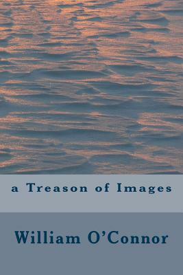 A Treason of Images by William O'Connor