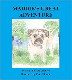 Maddie's Great Adventure by Amy Allinson, Matt Allinson