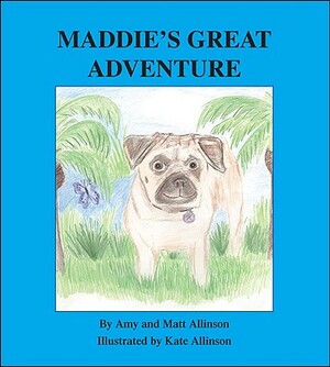 Maddie's Great Adventure by Amy Allinson, Matt Allinson