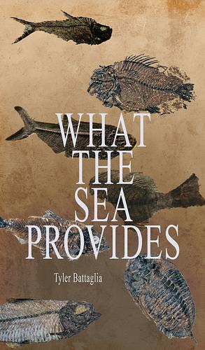 What The Sea Provides by Tyler Battaglia