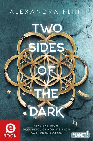 Two Sides of the Dark by Alexandra Flint