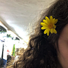 paw_la's profile picture