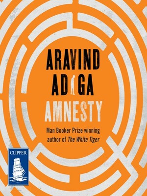 Amnesty by Aravind Adiga