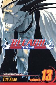 Bleach, Vol. 13: The Undead by Tite Kubo