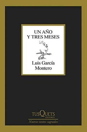 Un año y tres meses by Luis García Montero