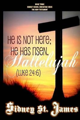 Hallelujah: He is not here; He has risen! (Luke 24:6) by Sidney St James