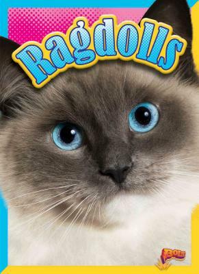 Ragdolls by Nicki Clausen-Grace