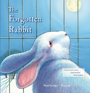 The Forgotten Rabbit by Nancy Lane, Nancy Furstinger