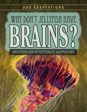 Why Don't Jellyfish Have Brains?: And Other Odd Invertebrate Adaptations by Caitie McAneney