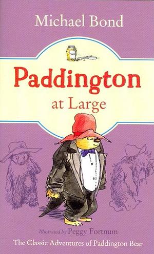 Paddington At Large by Michael Bond