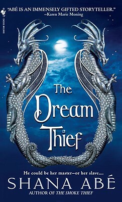 The Dream Thief by Shana Abé