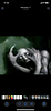 4twofive's profile picture