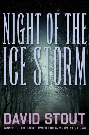 Night of the Ice Storm by David Stout