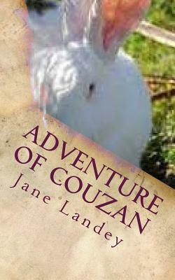 Adventure of Couzan: Chinese Version by Jane Landey