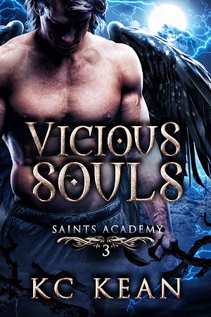 Vicious Souls by KC Kean