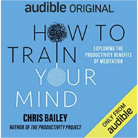 How to Train Your Mind: Exploring the Productivity Benefits of Meditation by Chris Bailey