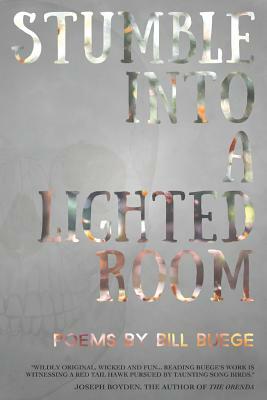 Stumble Into a Lighted Room by Bill Buege