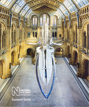 Natural History Museum Souvenir Guide by London Natural History Museum