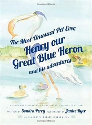 The Most Unusual Pet Ever, Henry Our Great Blue Heron and His Adventures by Sondra Perry