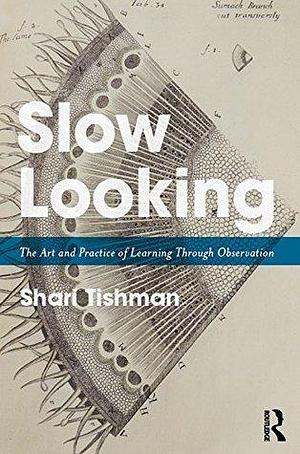 Slow Looking by Shari Tishman, Shari Tishman