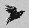 blackbirds_library's profile picture