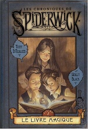 Le livre magique by Tony DiTerlizzi, Holly Black, Bertrand Ferrier