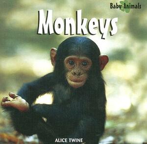 Monkeys by Alice Twine