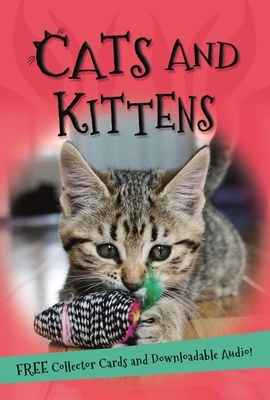 It's All About... Cats and Kittens by Kingfisher Books