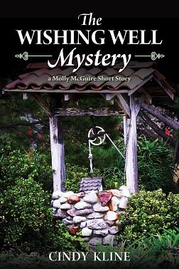 The Wishing Well Mystery by Cindy Kline