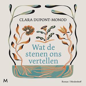 Wat de stenen ons vertellen by Clara Dupont-Monod