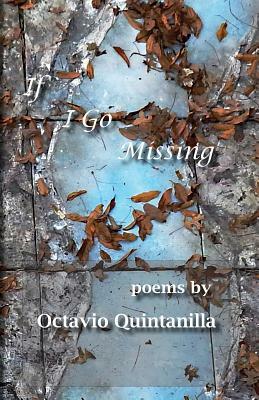 If I Go Missing by Octavio Quintanilla