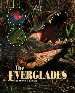 The Everglades by Wayne Lynch