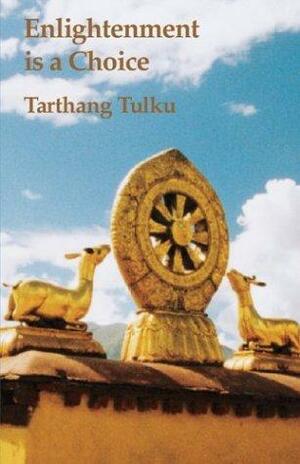 Enlightenment Is a Choice by Tarthang Tulku