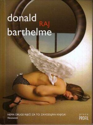 Raj by Donald Barthelme