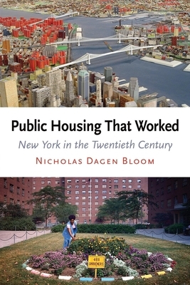 Public Housing That Worked: New York in the Twentieth Century by Nicholas Dagen Bloom