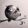 katie_johnson's profile picture