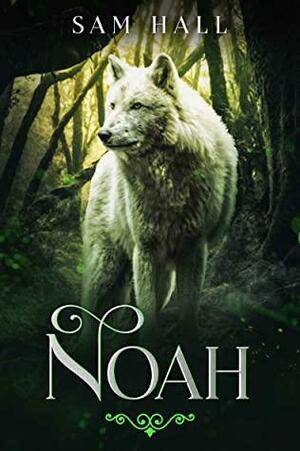Noah by Sam Hall