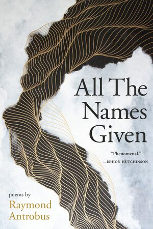 All The Names Given: Poems by Raymond Antrobus