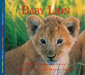 Baby Lion by Aubrey Lang