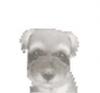 birdbath5's profile picture