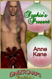 Sophie's Present by Anne Kane