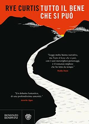 Tutto il bene che si può by Rye Curtis
