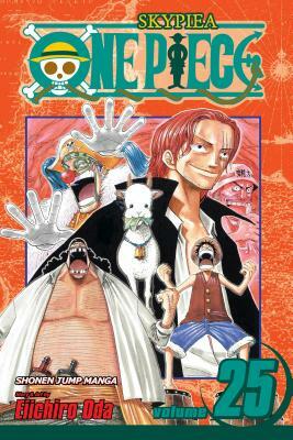 One Piece, Vol. 25: The 100 Million Berry Man by Eiichiro Oda