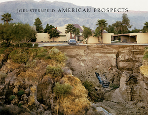 American Prospects by Joel Sternfeld