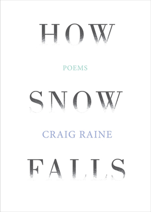 How Snow Falls by Craig Raine