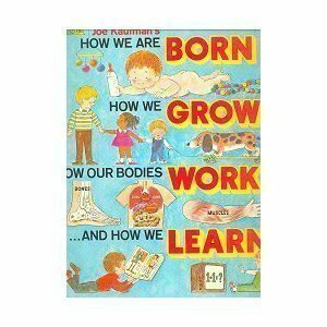 Joe Kaufman's How We are Born, How We Grow, How Our Bodies Work, and How We Learn by Joe Kaufman