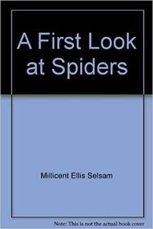 A First Look at Spiders by Millicent E. Selsam, Joyce Hunt