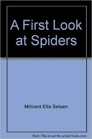 A First Look at Spiders by Joyce Hunt, Millicent E. Selsam