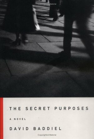 The Secret Purposes by David Baddiel