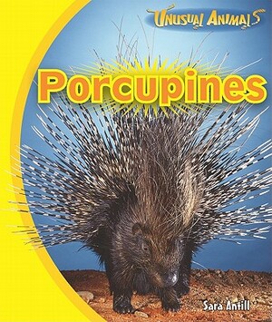 Porcupines by Sara Antill